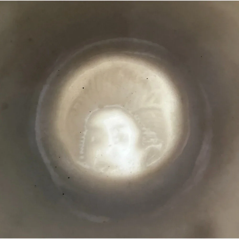 Lithopane Moriage 6 Cups and 6 Saucers